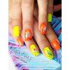 gelflow27a28