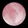 ZeroFile Fairy Rose b