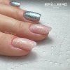 NextLevelLatteUnicorn Hypnotic251