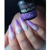 GelFlow81 (1)