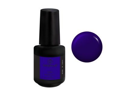 builder gel bbio didier lab blueberry 15ml.jpg