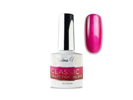 classic 313