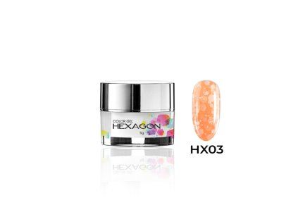 hexagon color gel 5g hx 03