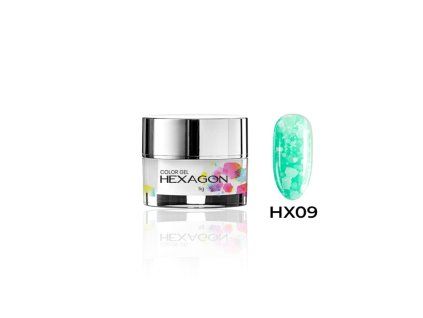 hexagon color gel 5g hx 09
