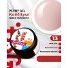 bsg konfitiyur v kelimku 13g 13