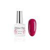 autumn collection red rose