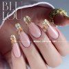 BluLou - Magic Crystal Color Gel 5ml - 501