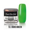 UV Painting Nail Art Gel 13 Vivid Green