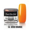 UV Painting Nail Art Gel 14 Vivid Orange