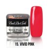 UV Painting Nail Art Gel 15 Vivid Pink