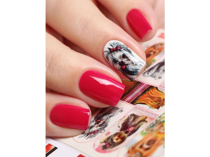 SLIDER NAIL  ART  458+