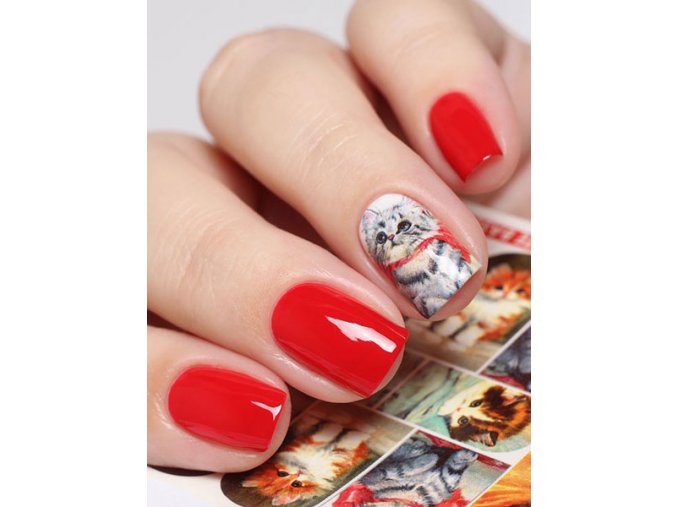 SLIDER NAIL ART  590 +