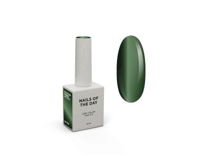 notd korean cat eye 17 gel polish product card.png