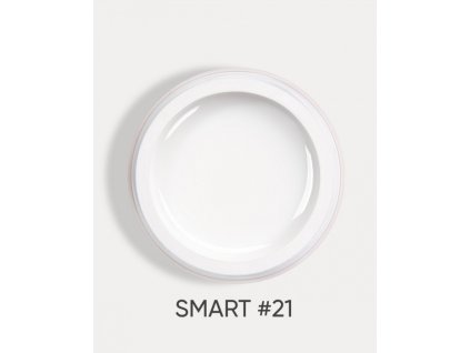 smart 21 1