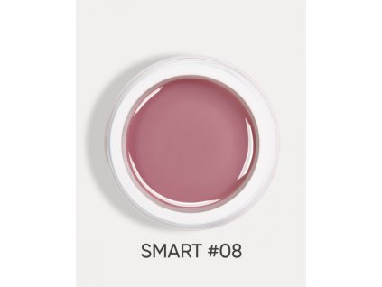 smart 08