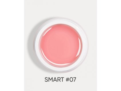 smart 07 1
