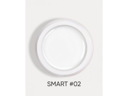 smart 02