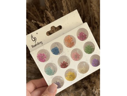 Dried Flowers for Manicure