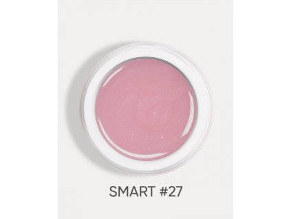 smart 27 1