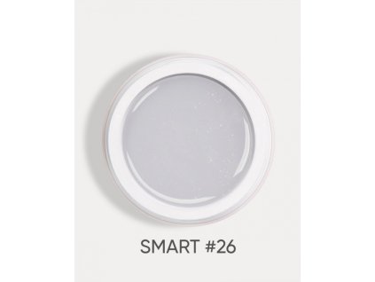 smart 26