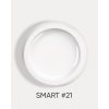 smart 21 1
