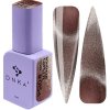 Color Gel Polish "DNKa" Bohemian Cat Eye 154, 12 ml