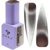 Color Gel Polish "DNKa" Bohemian Cat Eye 153, 12 ml