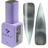 Color Gel Polish "DNKa" Bohemian Cat Eye 149, 12 ml