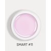 smart 11 1