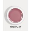 smart 08