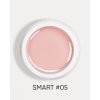 smart 05 1
