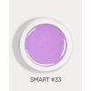 smart 33 1