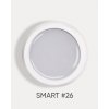smart 26