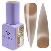 DNKa' Color Gel Polish Cat's Eye Silk 0030 12ml
