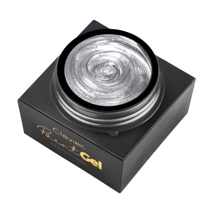 Paint Gel Clavier 5ml SILVER