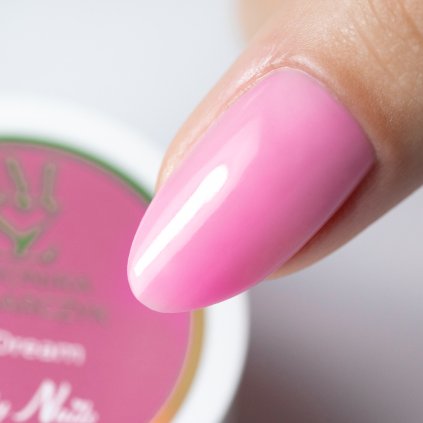 Pink Dream 2