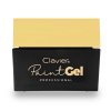 Paint gel Clavier 5g naily sk gt