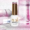 Nailsology gel lak Flash 8ml - reflexní gel lak na nehty