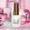 Nailsology gel lak Flash 8ml - reflexní gel lak na nehty