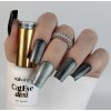 Nailsology Cat Eye Diva 8ml C09 „Meowty Python” Magnetický gél lak s Cat Eye efektom.