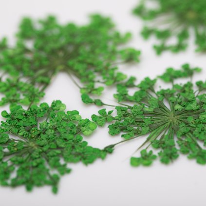 Sušené kvety na zdobenie nechtov Green