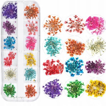 Sušené kvety na zdobenie nechtov 12ks