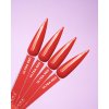 DNKA Gel Polish 12ml ULTRA RED