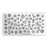 Kovová stamping platnička so zimnými a vianočnými motívmi na rýchle, presné a detailné zdobenie nechtov.