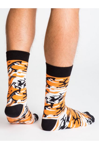 Pánske ponožky viacfarebná WS-SR-5544.06X