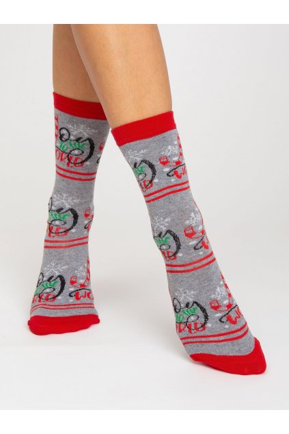 Dámske ponožky viacfarebná WS-SR-5639
