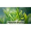 sencha listy