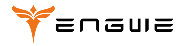 engwe-logo-600x150