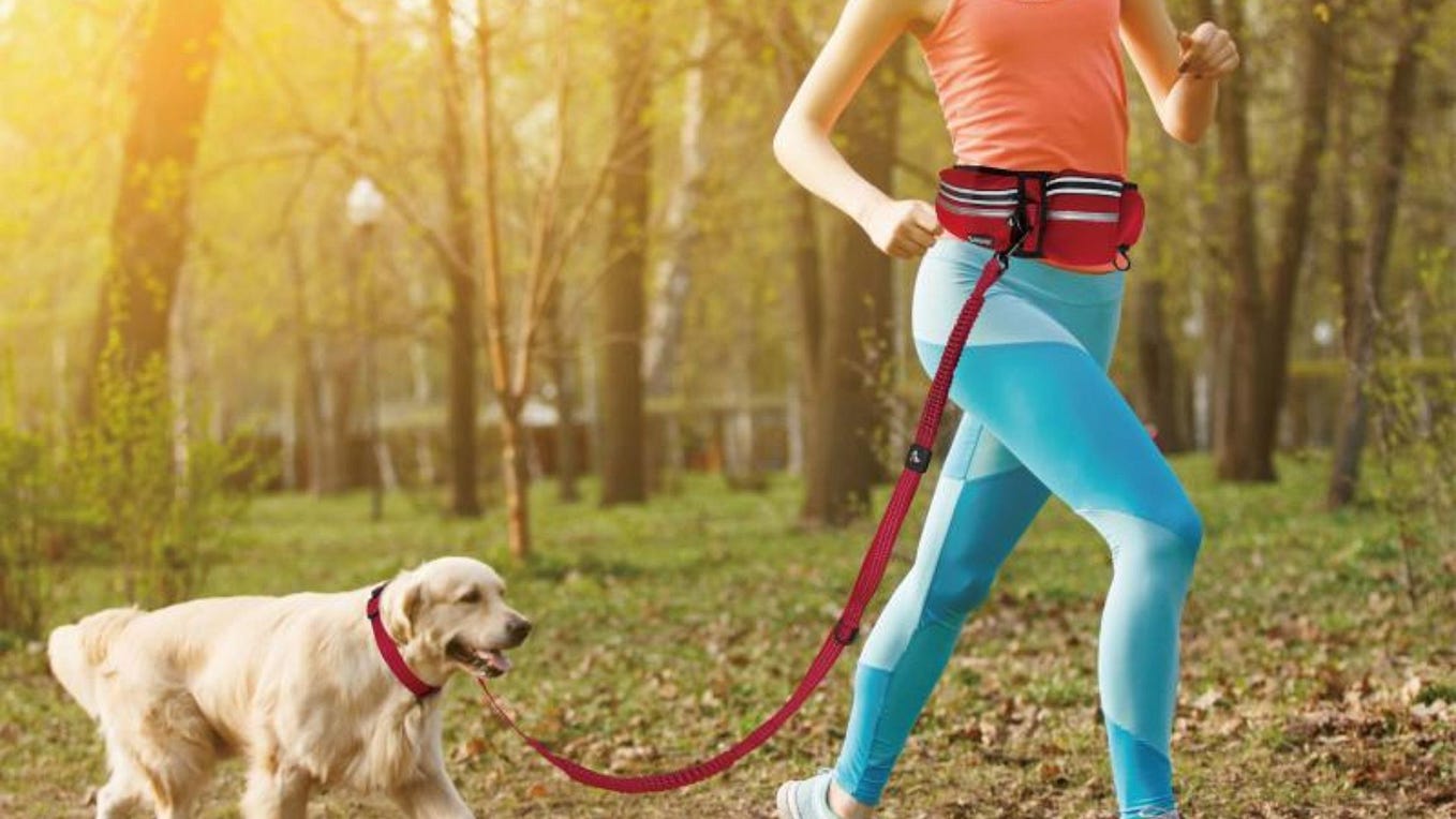 Pes - dokonalý spoločník na beh 🏃‍♂️‍➡️