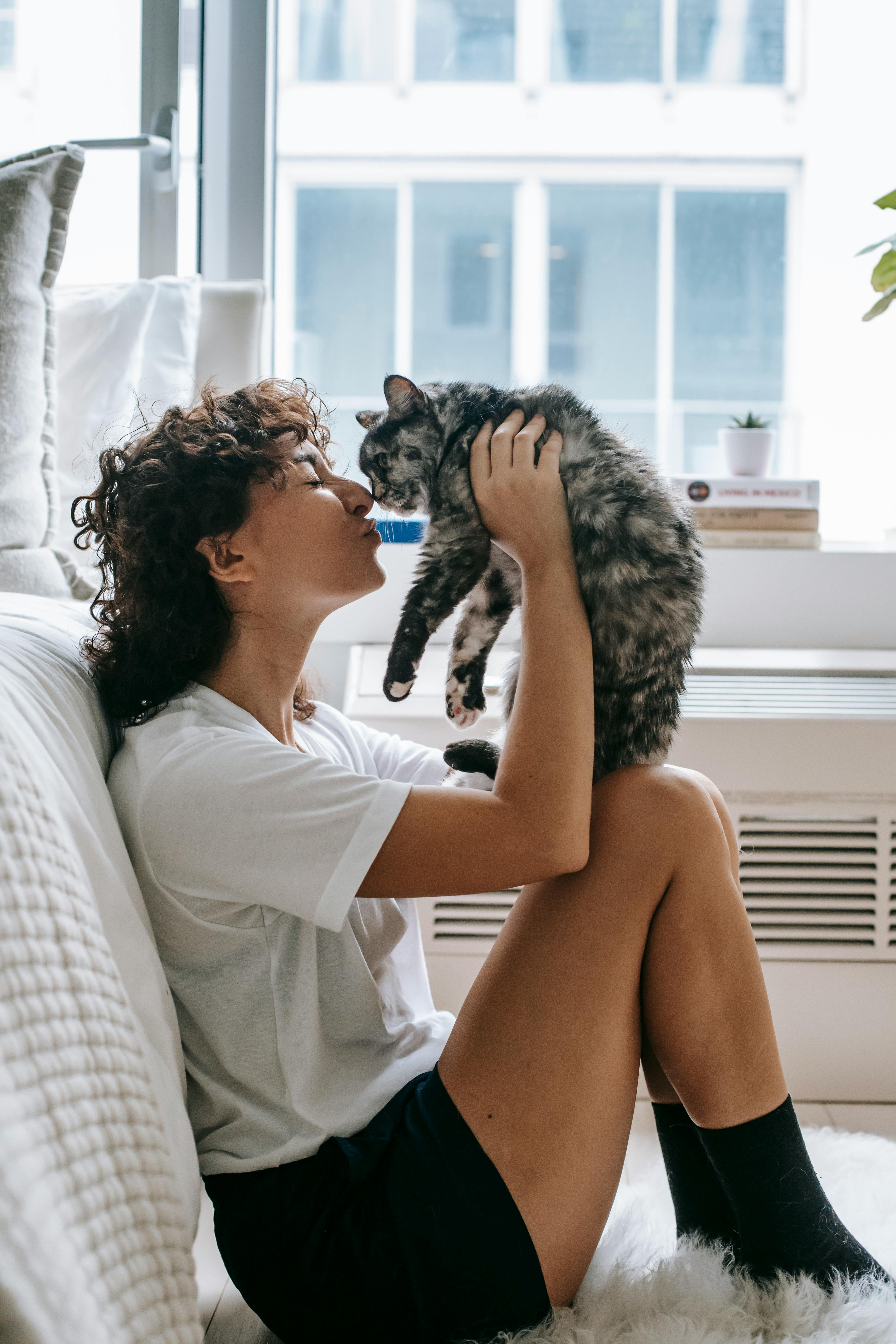 pexels-sam-lion-6001183